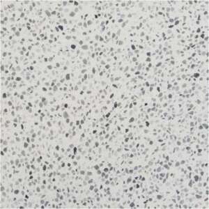 MICRO-TEFESA ARACENA FONDO BLANCO